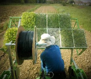 bottegheria la fattoria biologica le prata