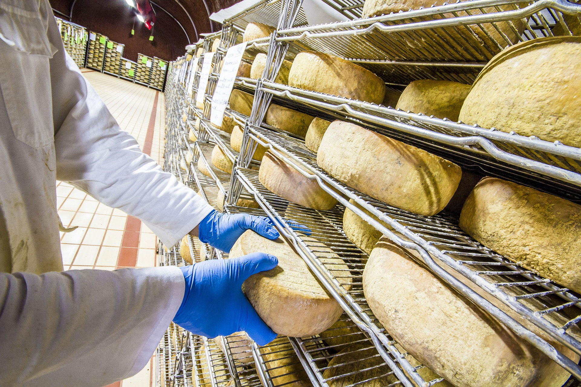 pecorino toscano