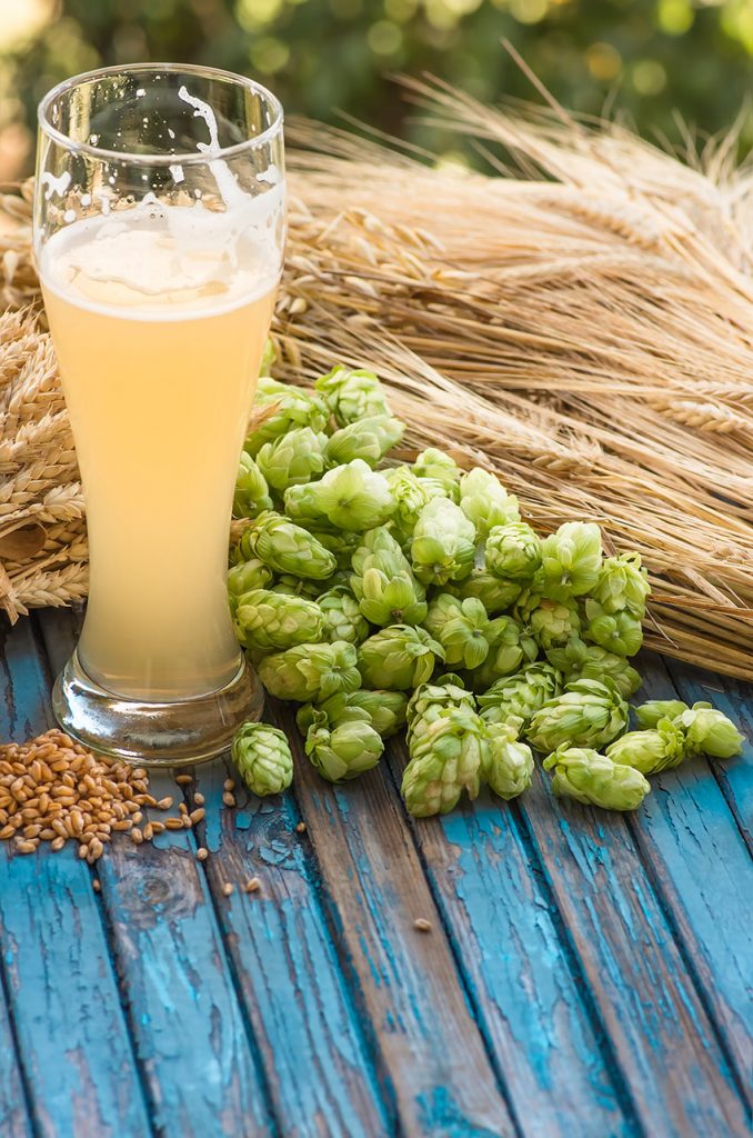 Meglio la birra filtrata o non filtrata